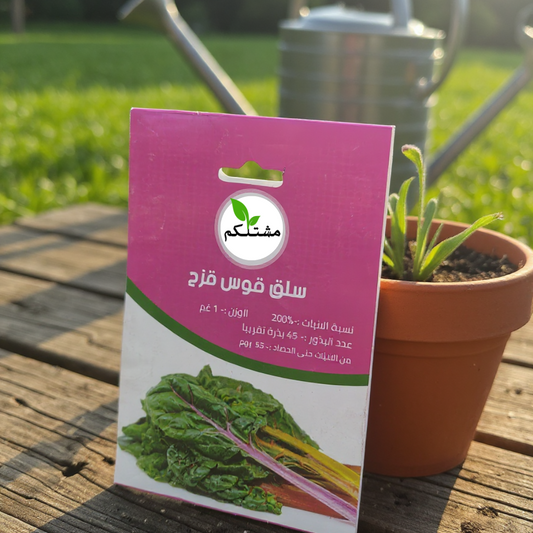 لأكل صحي وملون بالشتاء.. جهّز نفسك لزراعة بذور سلق قوس قزح من "مشتلكم"!