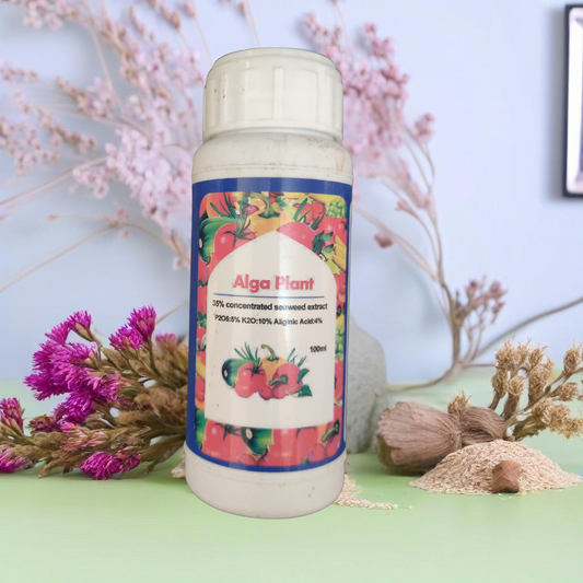 فيتامين طبيعي لنباتاتك.. مقوي الطحالب البحرية السائل "Alga Plant" من "مشتلكم"!