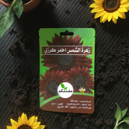 شمس بلون مختلف.. ازرع بذور زهرة الشمس الحمراء من "مشتلكم"!