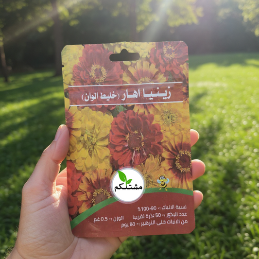 الجمال يبدأ من يدك.. ازرع وردة الزينيا بنفسك مع "مشتلكم"!